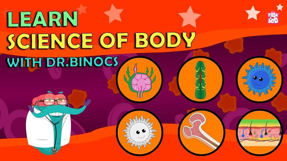 Screenshot of Look Inside The Human Body With Dr. Binocs!