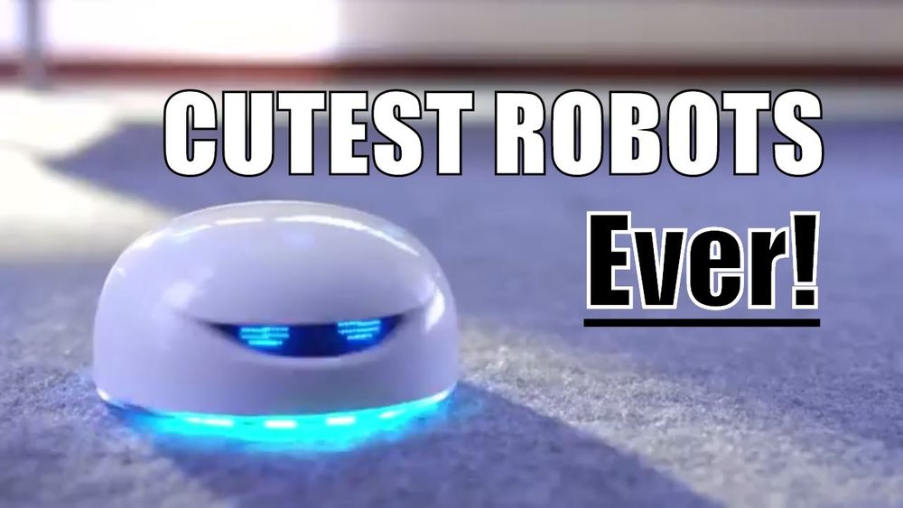 Screenshot of Cute Robots You Can BUY Screenshot of Cute Robots You Can BUY