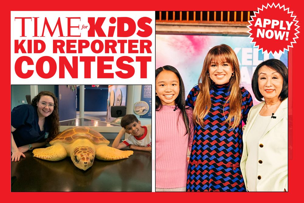 Screenshot of Are You Ready to Report?