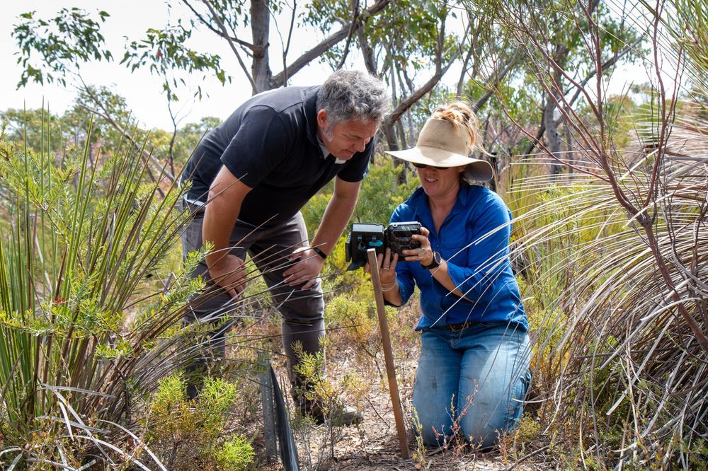 Screenshot of AI Helps Protect Australian Wildlife