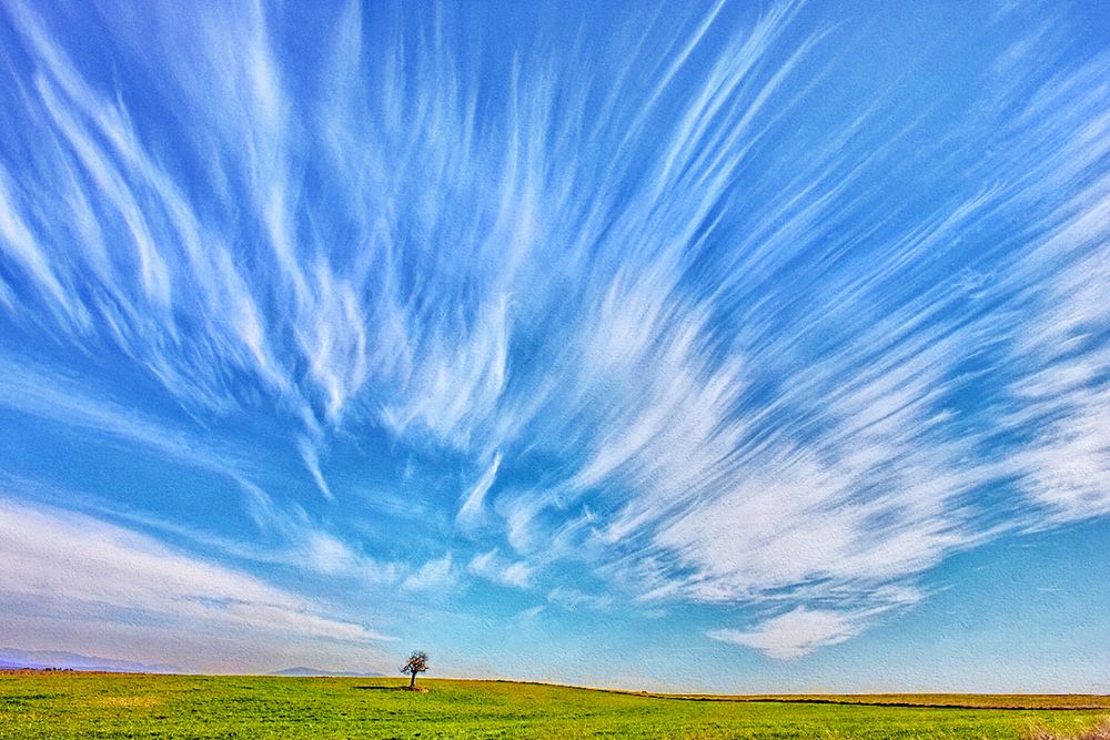 Screenshot of Common Clouds