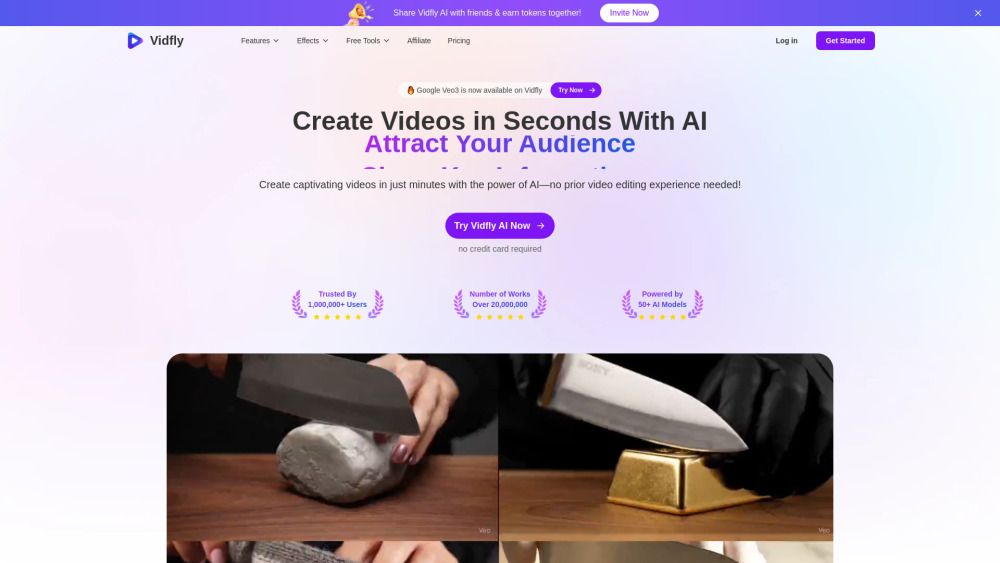 Screenshot of Vidfly Screenshot of Vidfly