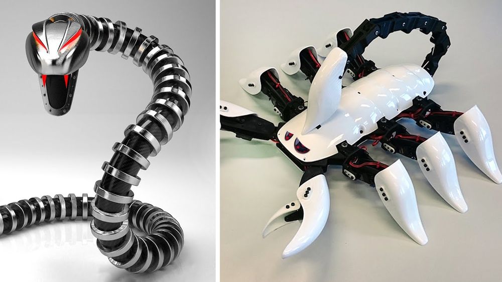 Screenshot of 20 Amazing Robot Animals That Will Blow Your Mind