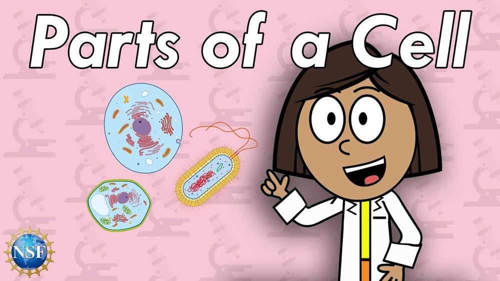 Screenshot of What are Cells? | Science For Kids Screenshot of What are Cells? | Science For Kids