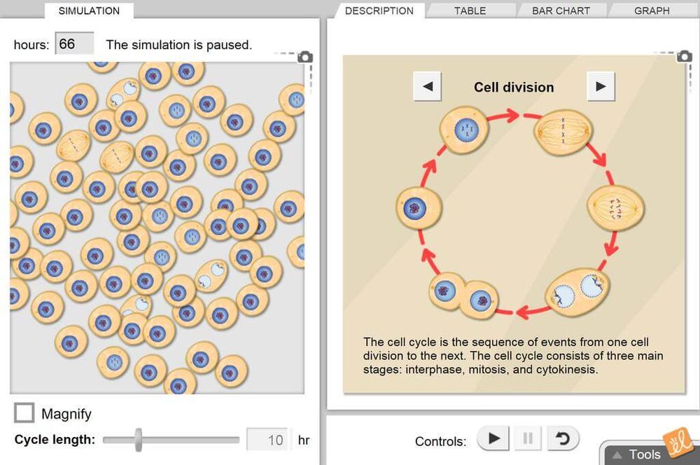 Screenshot of Gizmos: Interactive STEM Simulations