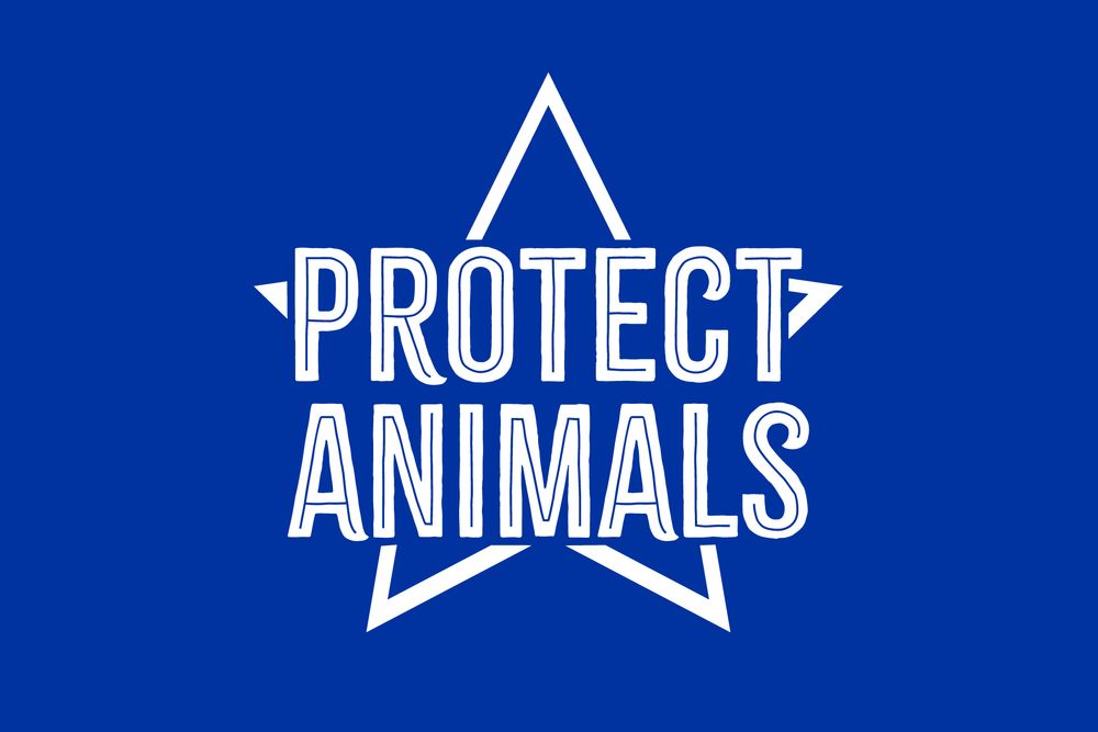 Screenshot of Mission: Protect Animals