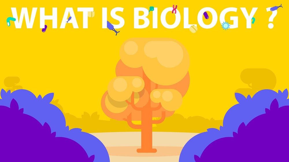 Screenshot of What is Biology?