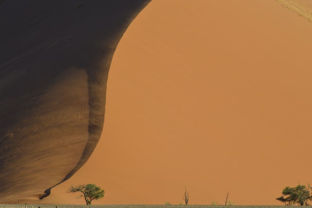 image of Unlock Your Business Potential with Venus AI Studio: The All-in-One AI Platform