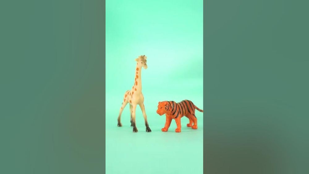 Screenshot of Engineering Challenges STEM Box