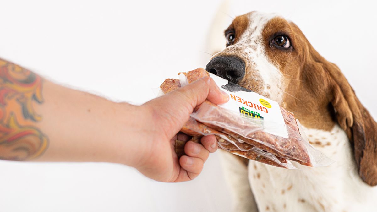 planes semanales Wild.