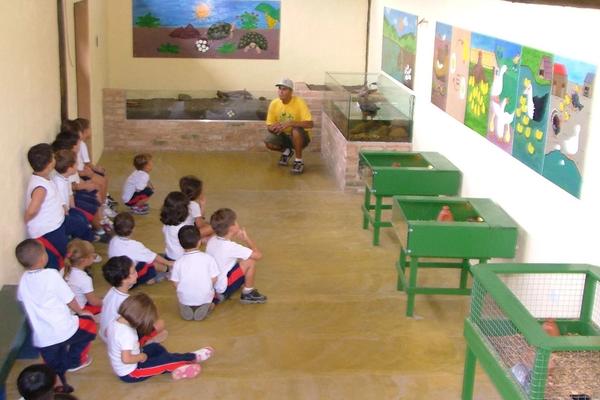 Passeios escolares
