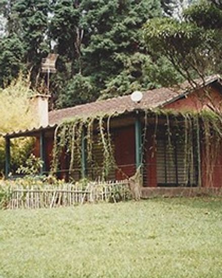 Novos caminhos