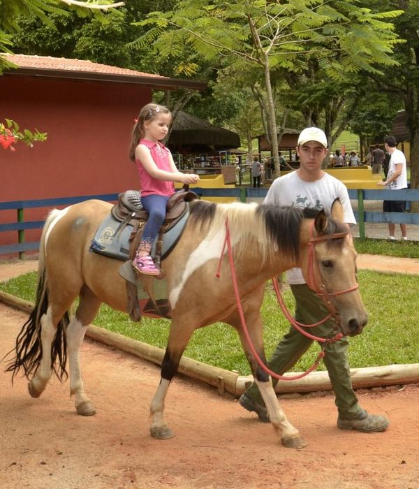 Passeio a cavalo e pônei