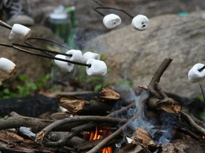 S'mores roasting over a fire