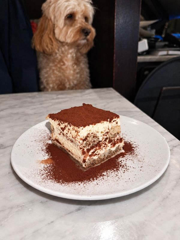 Tiramisu pudrad med kakao på vit tallrik, Bellora