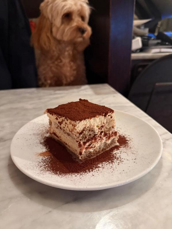 Tiramisu pudrad med kakao på vit tallrik, Bellora