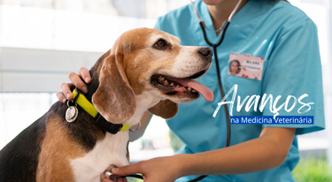 Você está mesmo por dentro dos avanços da Medicina Veterinária?