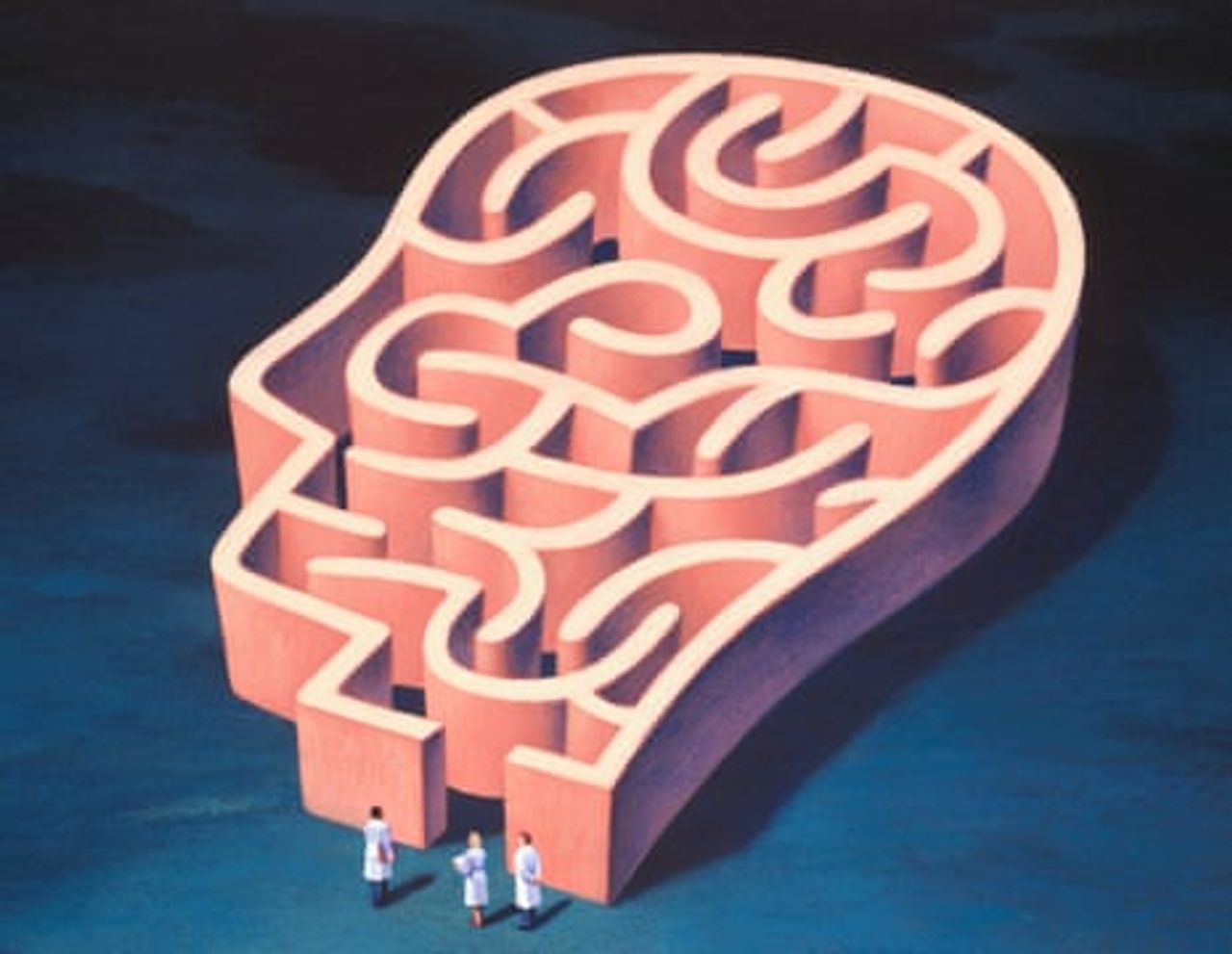 science brain