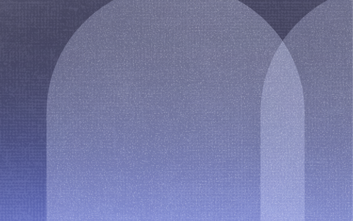 How to audit your fixed ML classifier