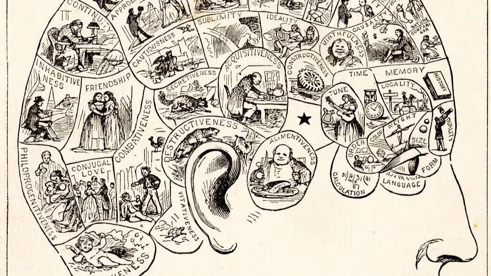 Cover image for Neuroscience and the Soul