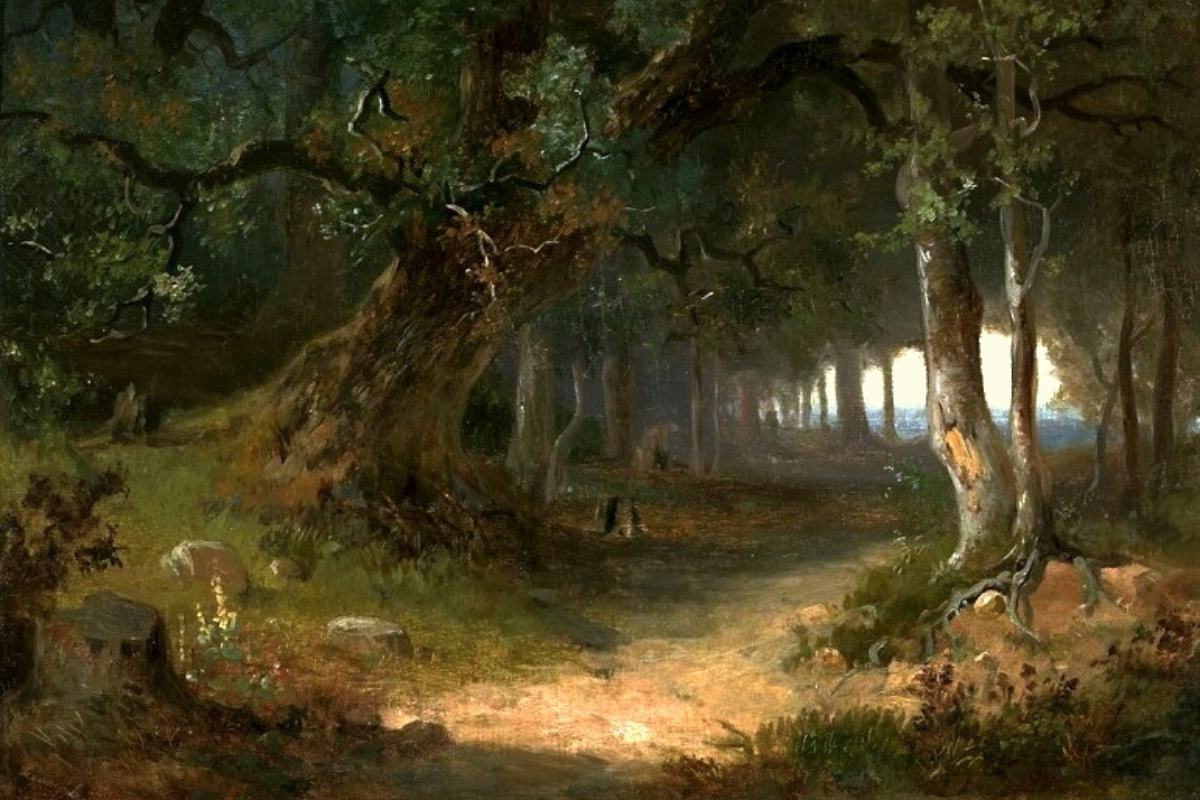 Cover image for Thomas Aquinas on Creation: Metaphysics and Theology