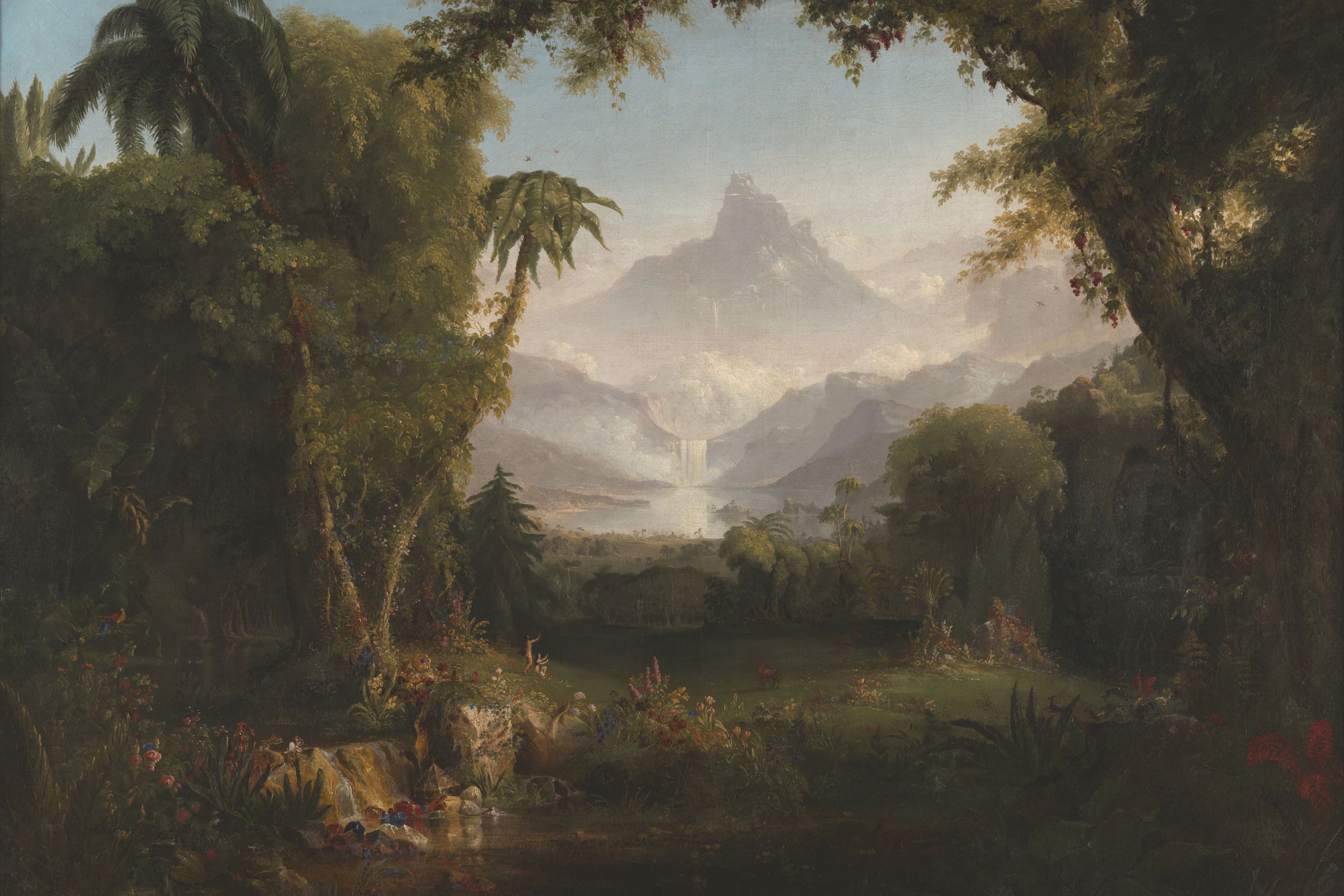 Cover image for Creation and Evolution: Answers to Different Questions