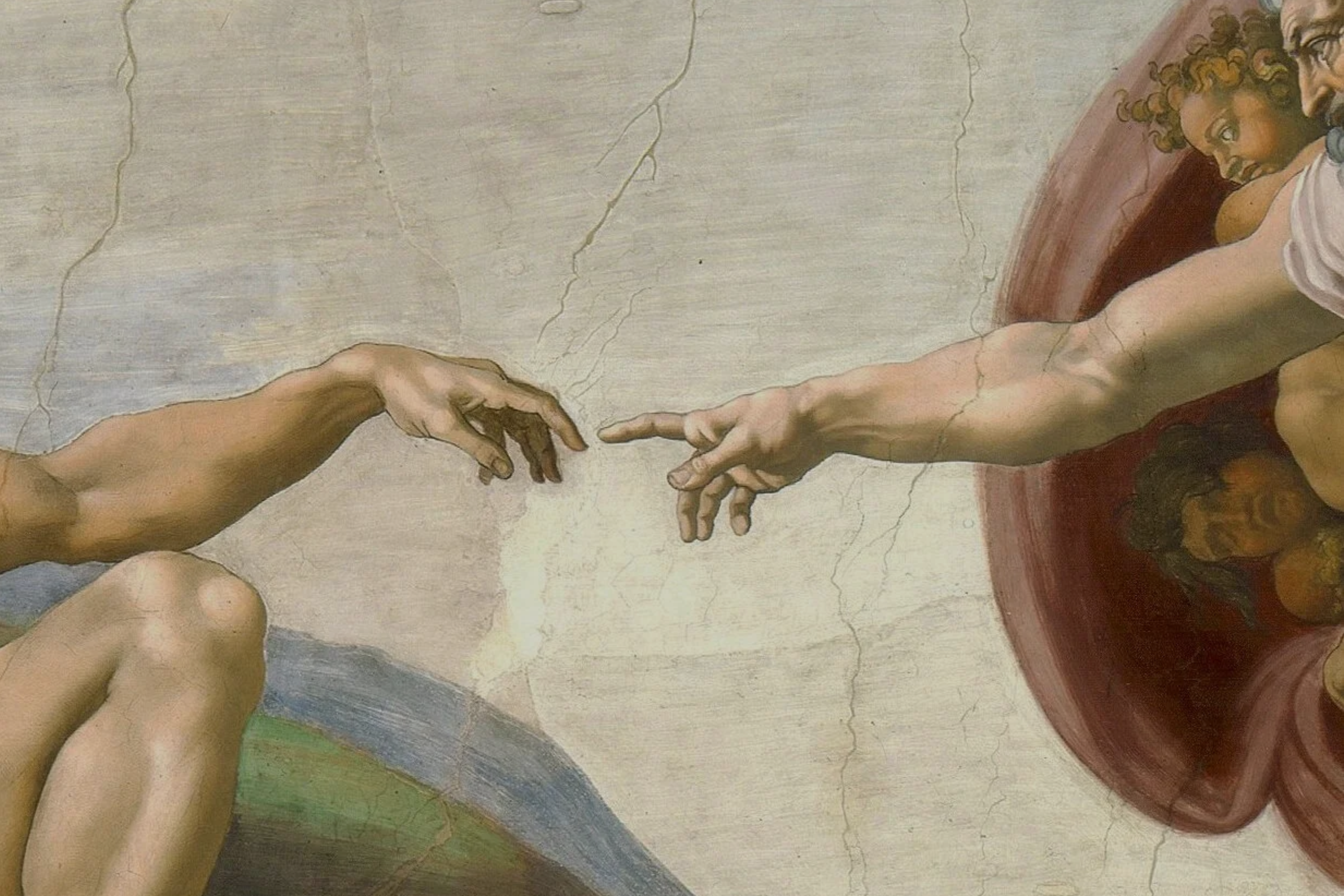 Cover image for Theology of the Body and the Natural Law