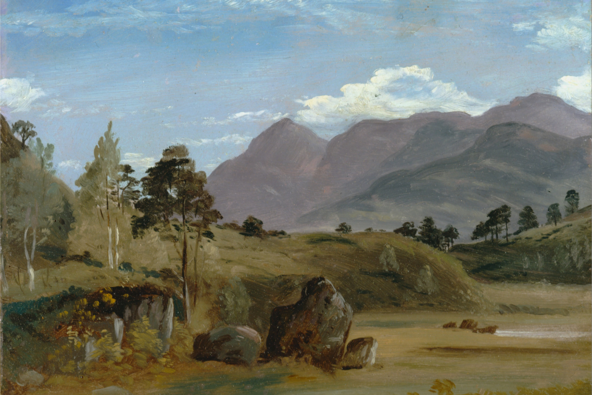 Cover image for Does Nature Make Laws?