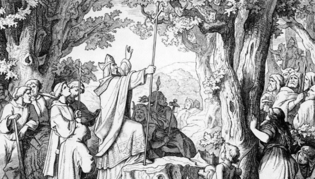 Cover image for Do Trees have Souls?