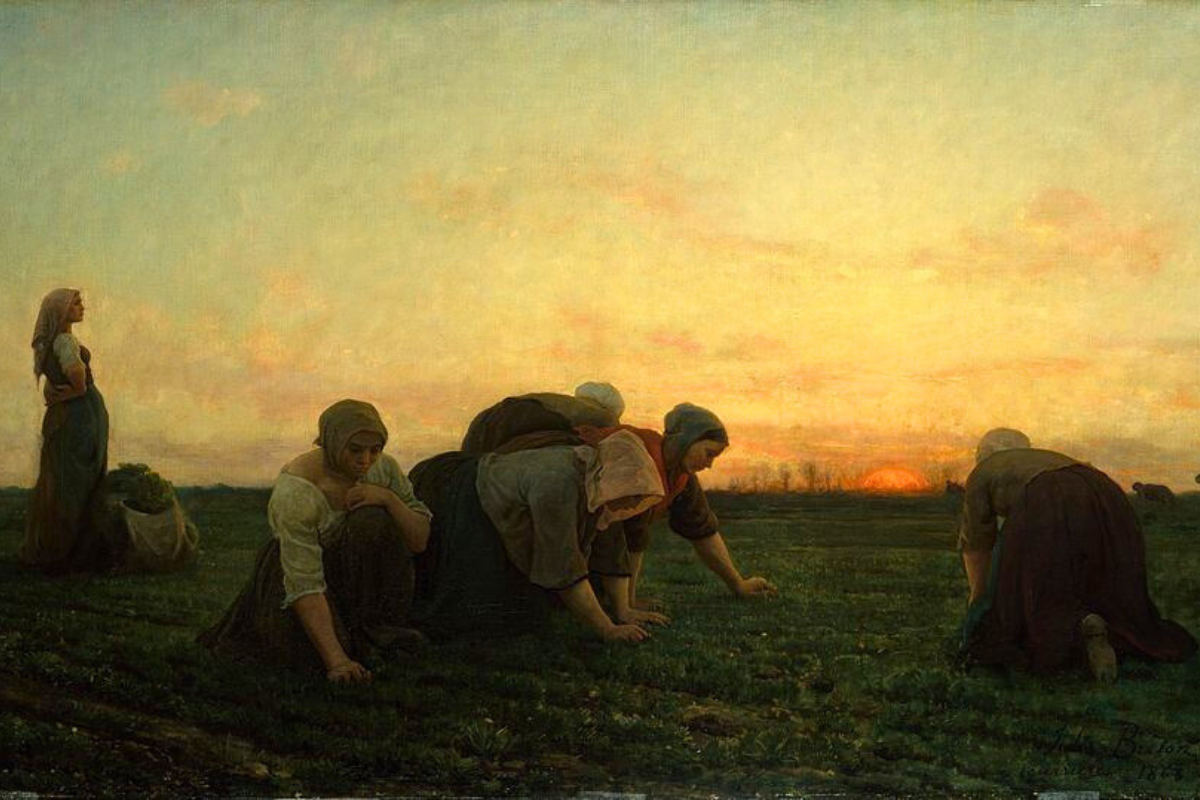 Cover image for "And to Dust You Shall Return": Thomas Aquinas on Human Death and the Possibility of Survival