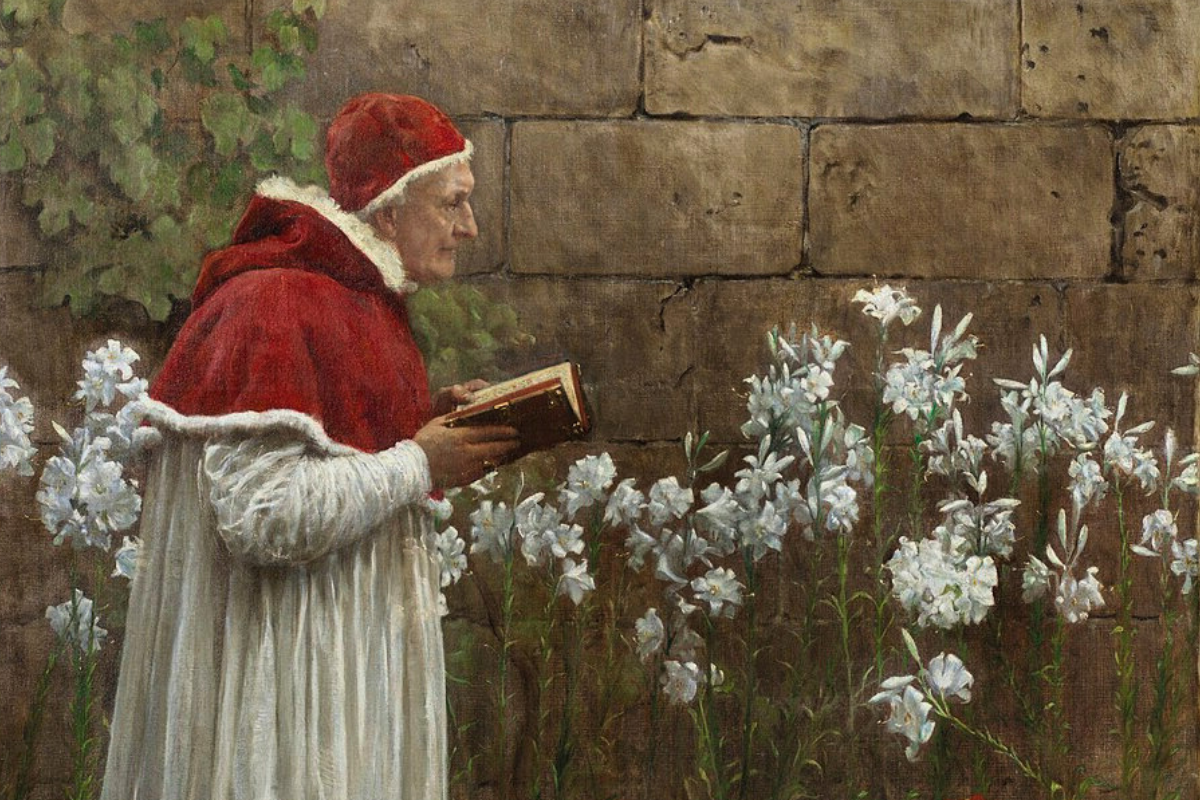 Cover image for Pope or Antipope?: Schism and the Medieval Papacy