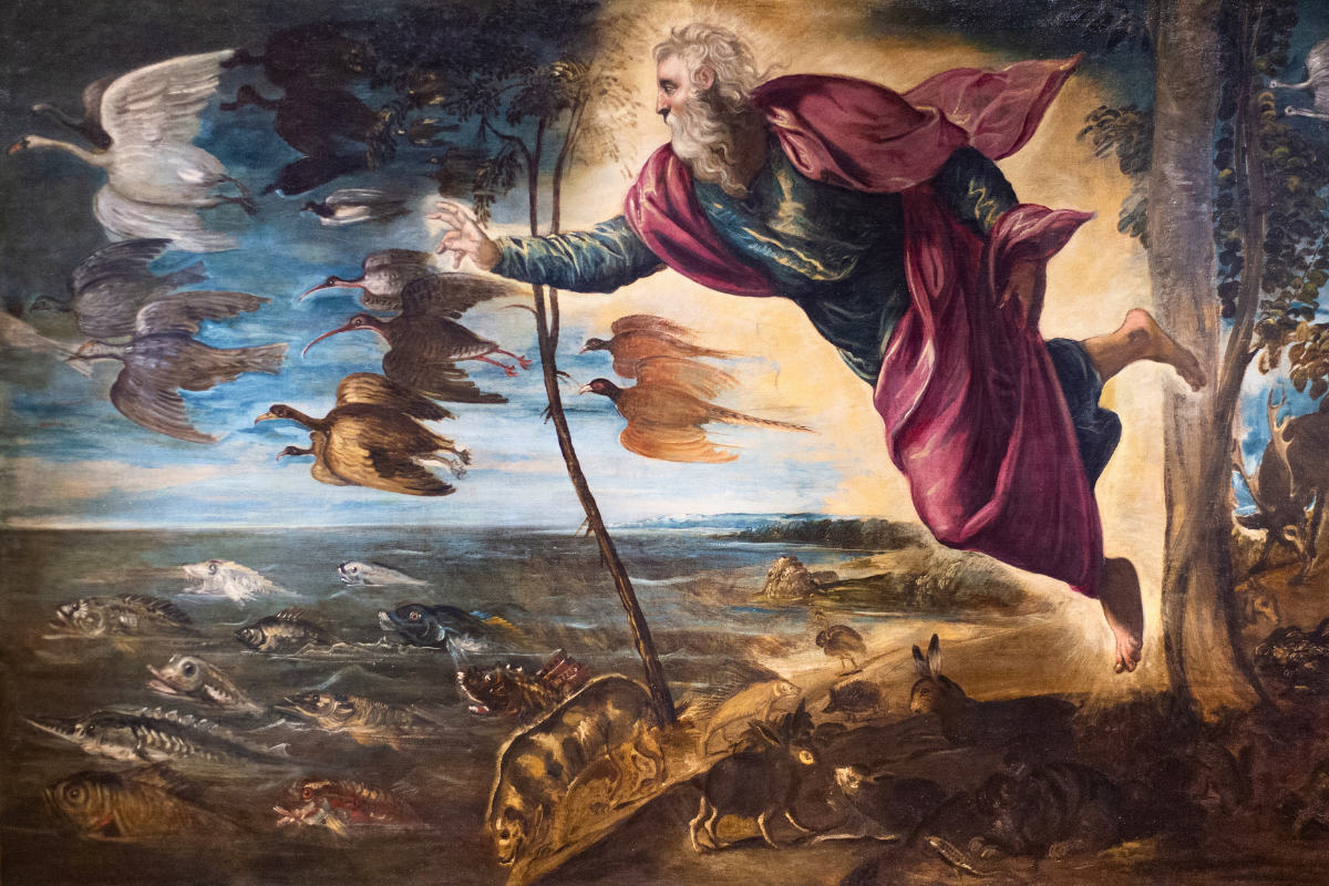 Cover image for Creation vs. Creationism: Aquinas on Evolution