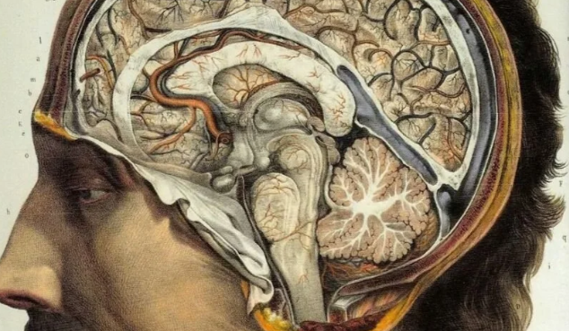 Cover image for Artificial Intelligence and the Human Soul