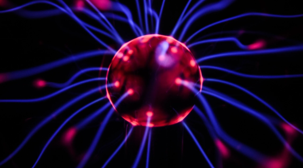 Cover image for Neuroscience and Human Freedom