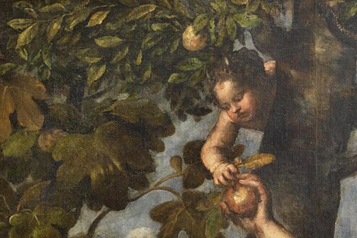 Cover image for Structural Evil