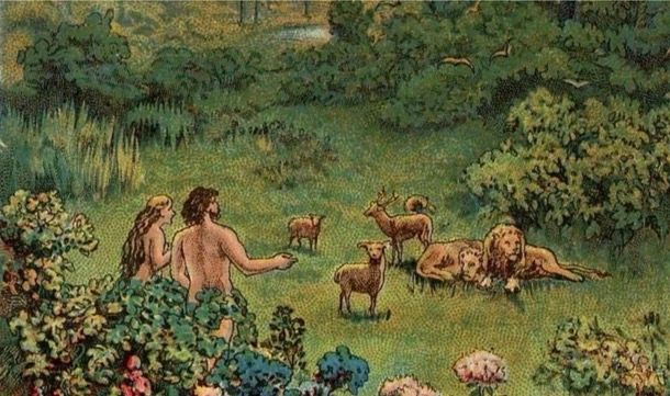 Cover image for Reconciling the Image of God with the Scientific Image of Human Persons