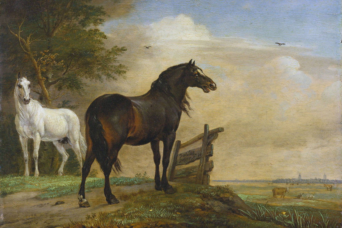 Cover image for Thomas Aquinas on Creation: Metaphysics and Theology