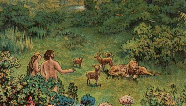 Cover image for Coming to Know God Through Creation: A Biblical Perspective