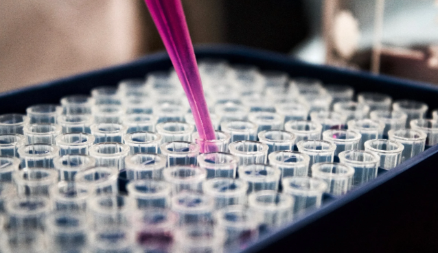 Cover image for The Challenge and Opportunity of Genome Editing: Scientific and Ethical Considerations