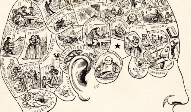 Cover image for Technology, Neuroscience, and Thomistic Psychology