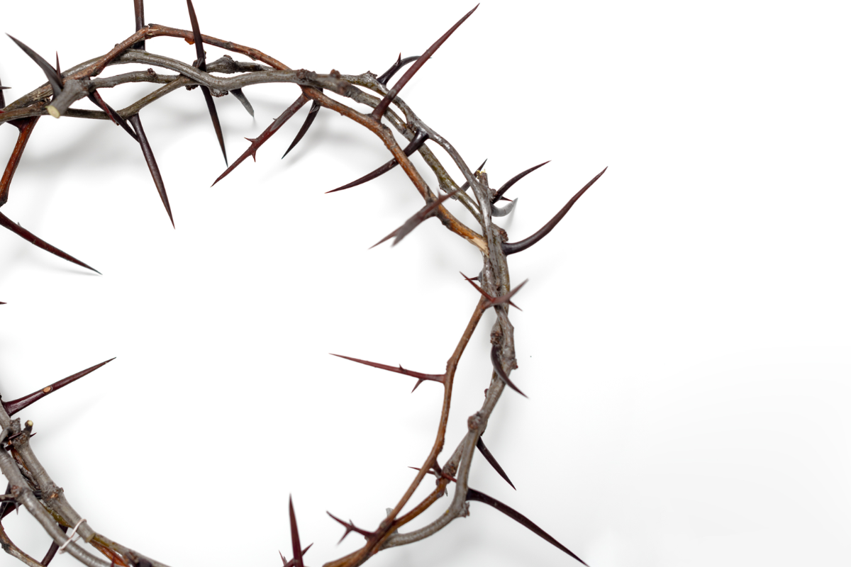 Cover image for Suffering and the Narrative of Redemption: Why God Allows Us to Suffer