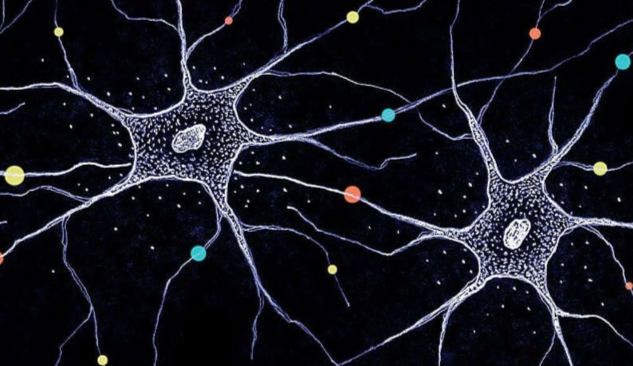 Cover image for Does Modern Neuroscience Disprove the Existence of the Soul?