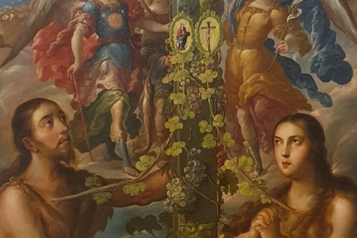 Cover image for Sex and Gender: A Catholic Perspective