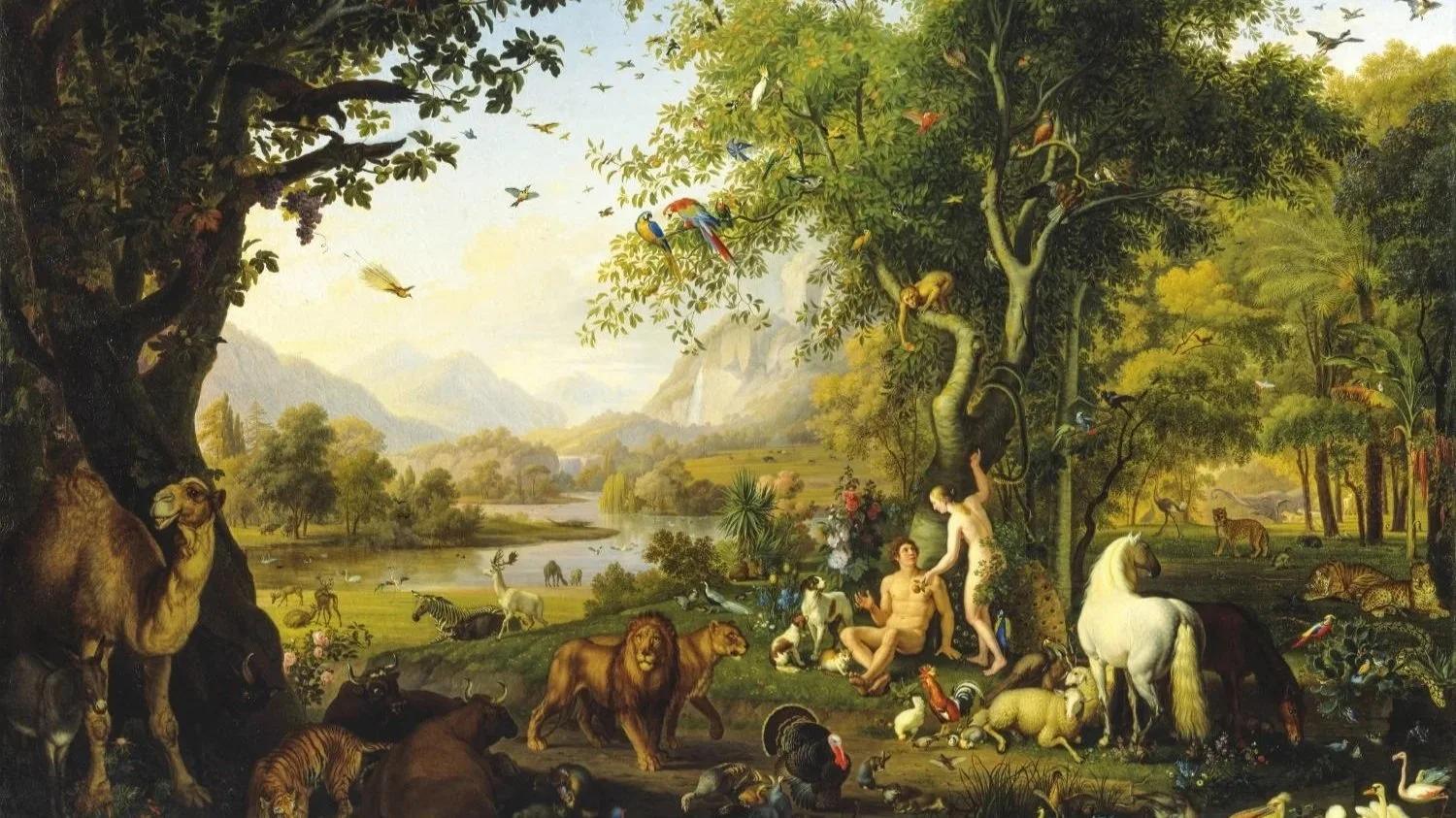 Cover image for Is the First Genesis Creation Account Compatible with Science?