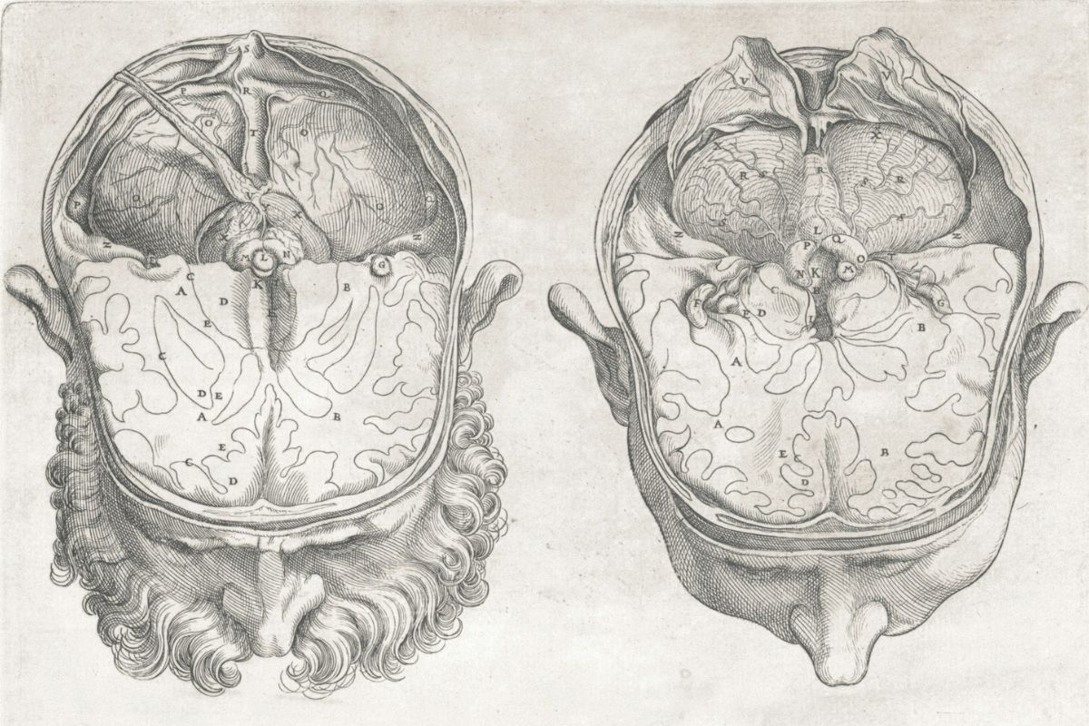 Cover image for Has Neuroscience Disproved Free Will?