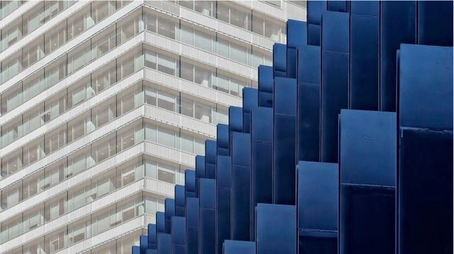 Cover image for The Use of Tools in a Technocratic Age: The Death of Wisdom?