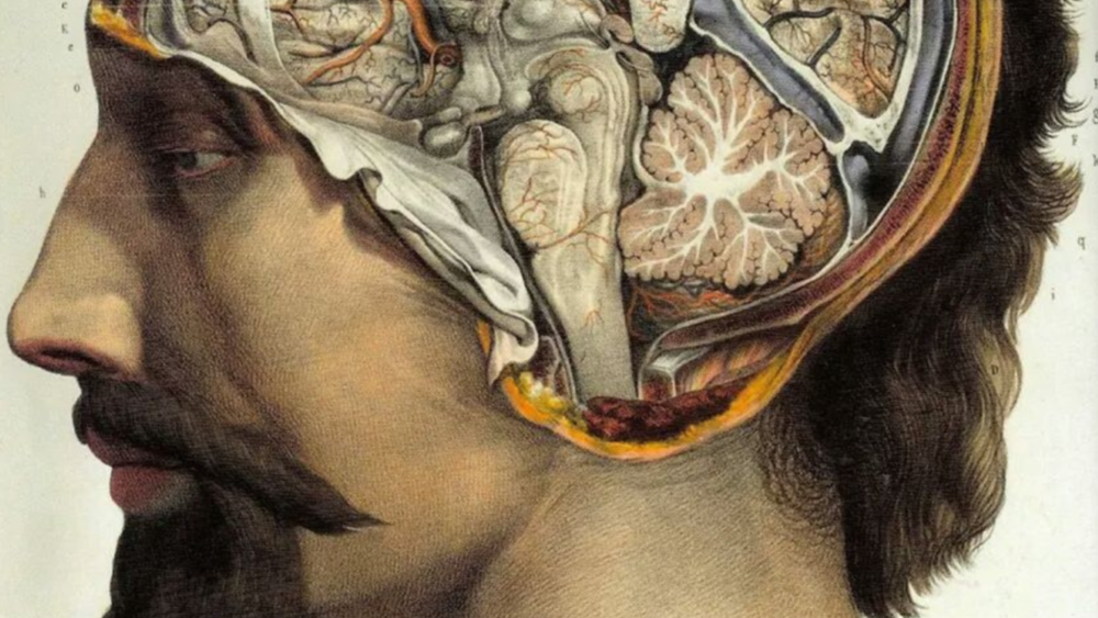 Cover image for Why Would a Biologist Believe in the Soul?