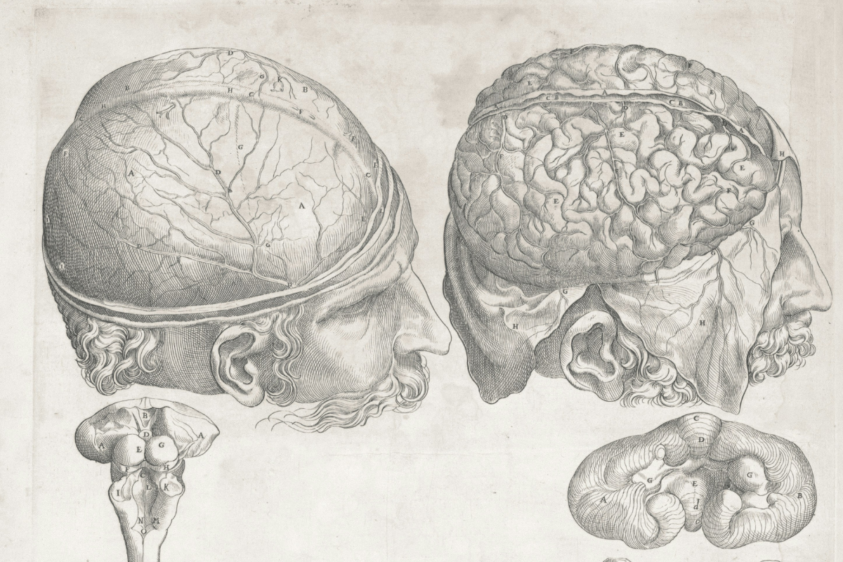 Cover image for Rewiring Your Brain