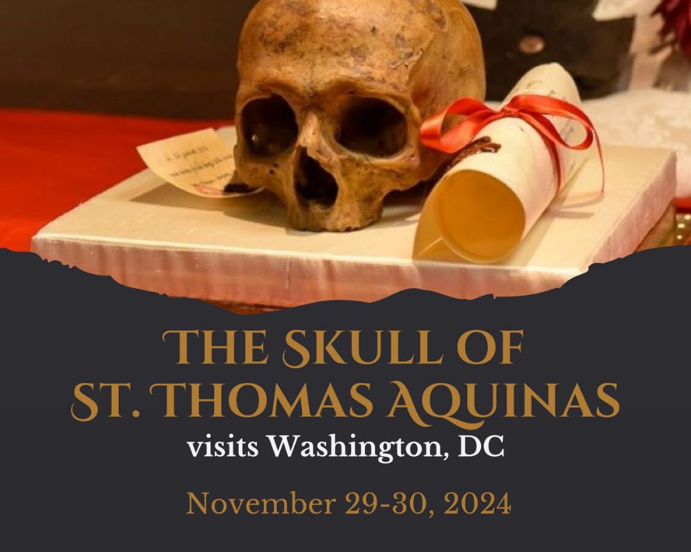 Cover image for The Major Relics of St. Thomas Aquinas Visit Washington, DC