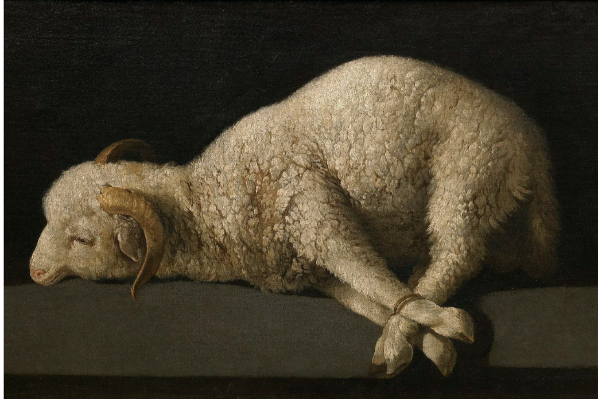 Cover image for The Wedding Supper of the Lamb: The Meaning of the Mass